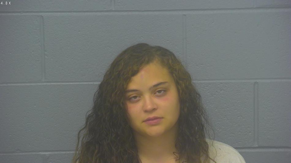 Arrest photo of ALLISSA  HUBER 